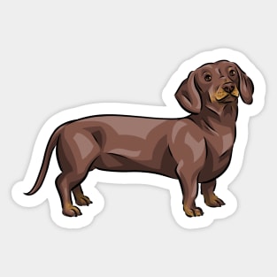 Chocolate and Tan Dachshund Dog Sticker